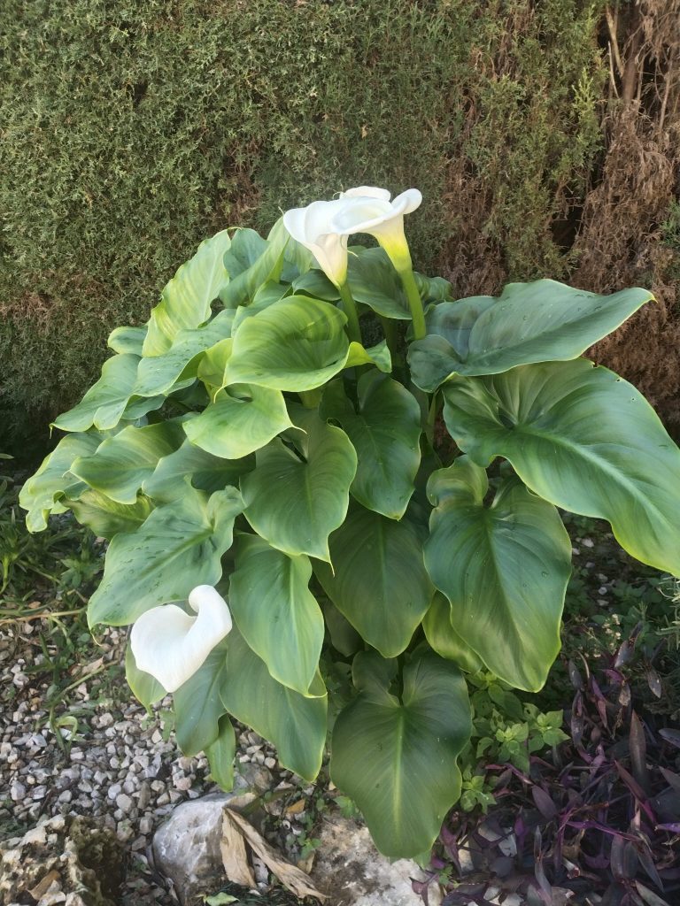 WhatsApp Image 2026-04-11 at 15.55.38 (2)