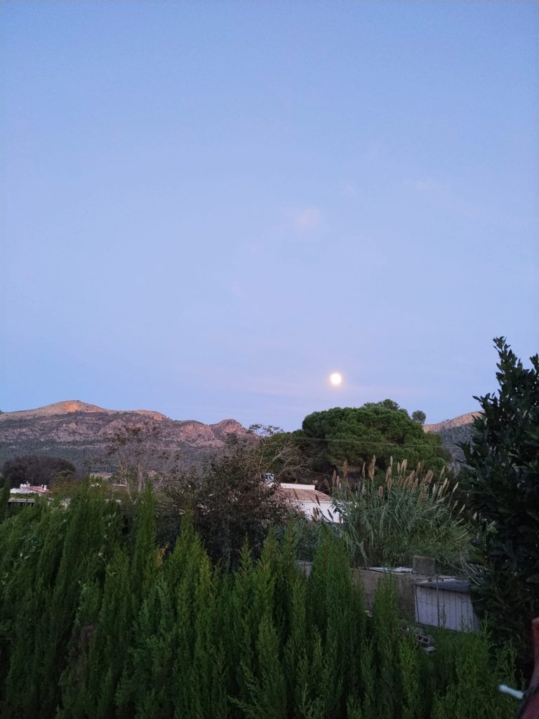 WhatsApp Image 2026-04-11 at 15.55.39 (3)