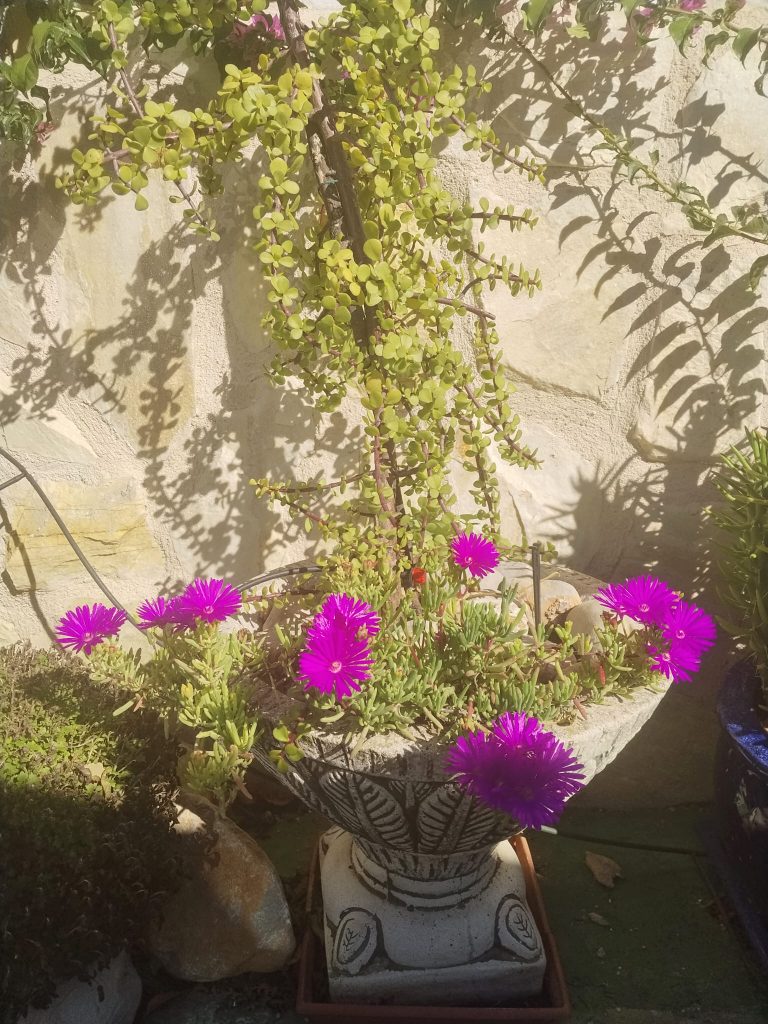 WhatsApp Image 2026-04-11 at 15.55.39